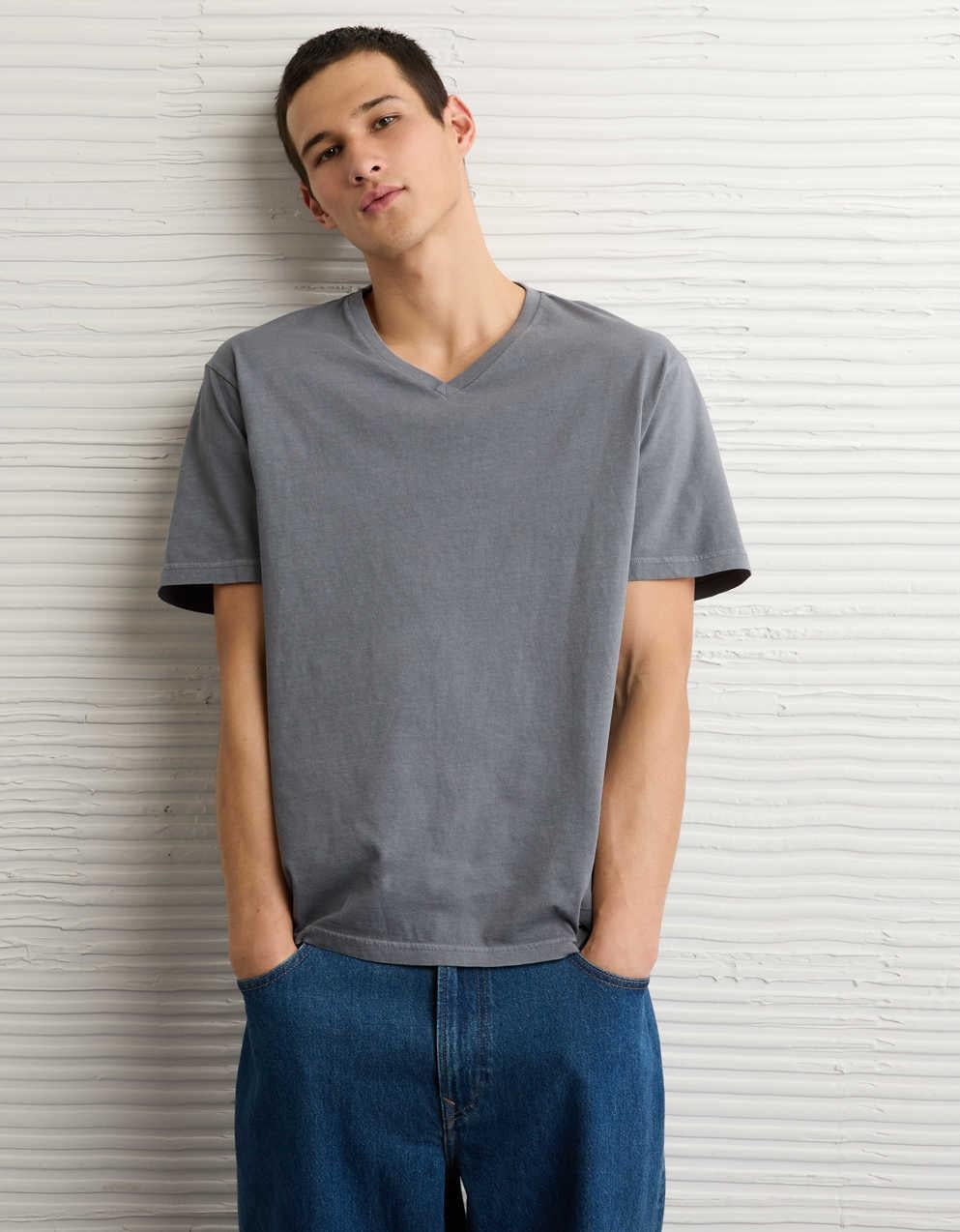AE Standard Fit Lived-In V-Neck T-Shirt