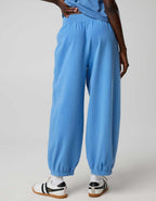 OFFLINE By Aerie OG Cotton Baggy Jogger