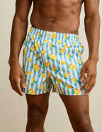 AEO Men's Food Stretch Cotton Boxer Short