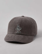 AEO Fitted Baseball Hat