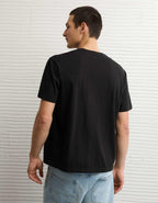 AE Standard Fit Lived-In V-Neck T-Shirt