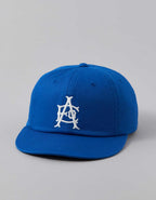 AE Icon Dad Hat