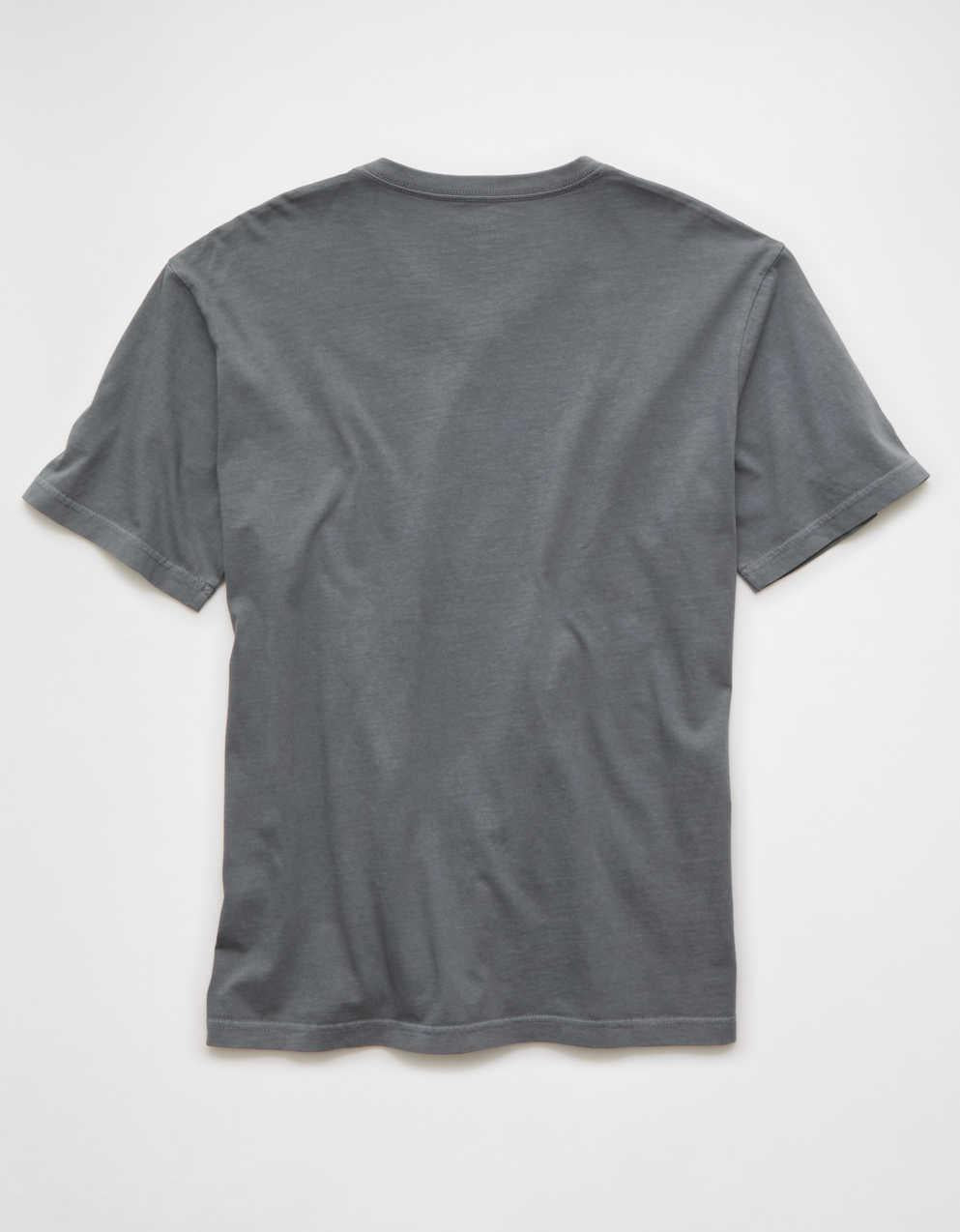 AE Standard Fit Lived-In V-Neck T-Shirt