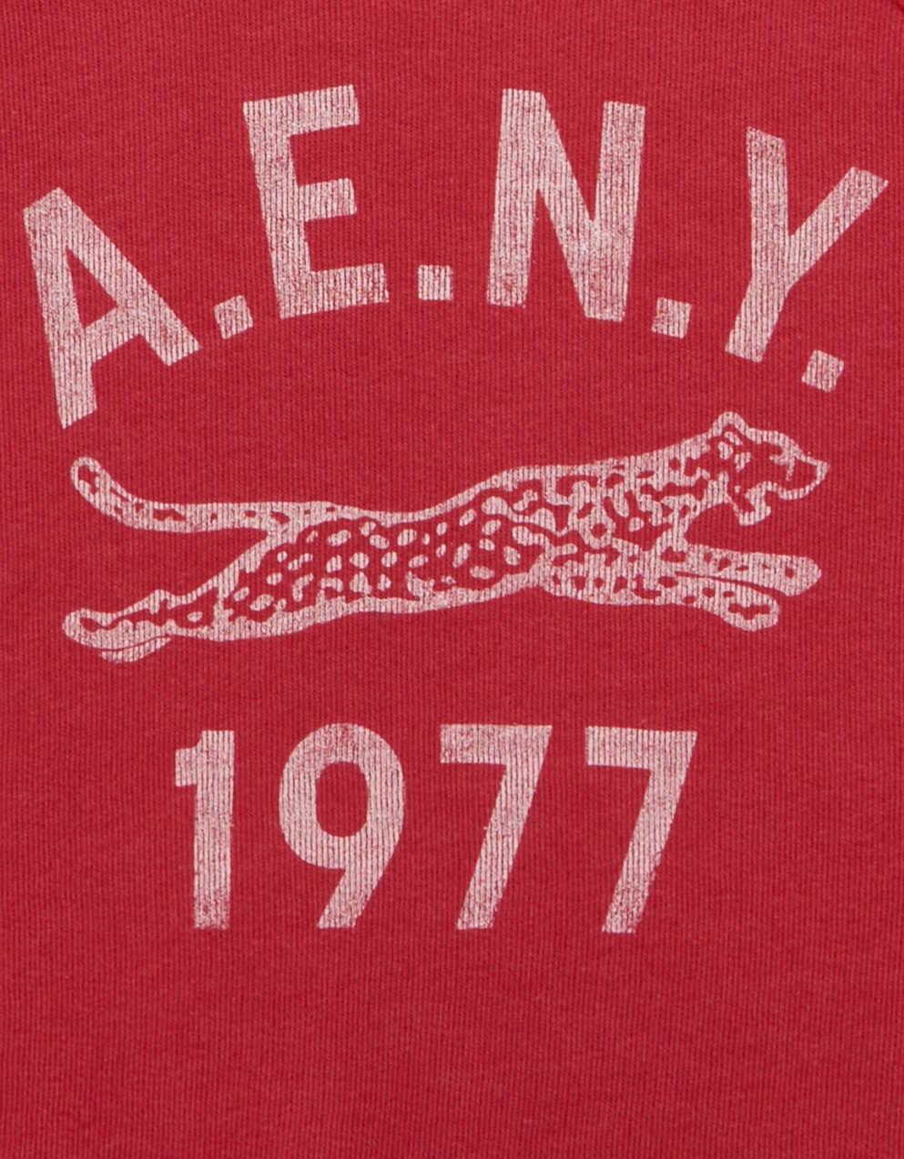 AE Campus Short-Sleeve Sweatshirt