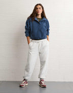 AE Sherpa Fleece Graphic Henley Sweatshirt