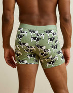 AEO Men's 4.5" Classic Cotton Boxer Brief