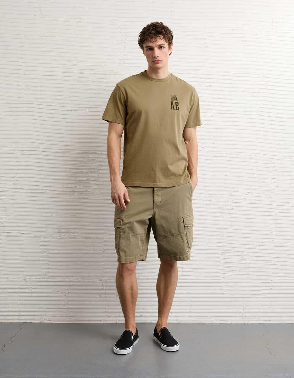 AE Standard Fit Logo Graphic T-Shirt