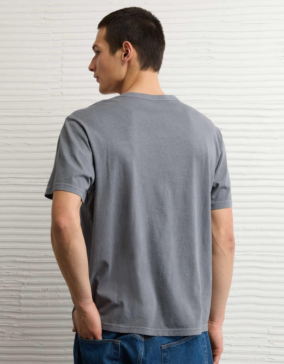 AE Standard Fit Lived-In V-Neck T-Shirt
