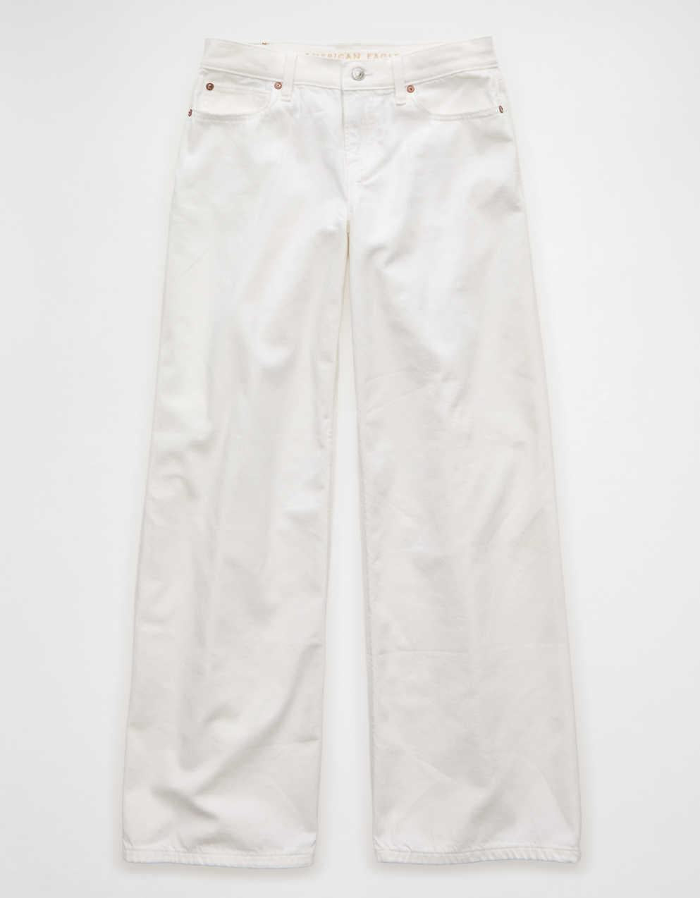 AE Low-Rise Baggy Ultra-Wide Leg Jean