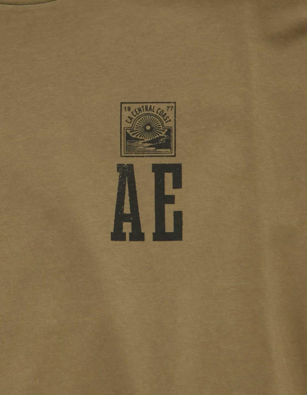 AE Standard Fit Graphic Logo T-Shirt