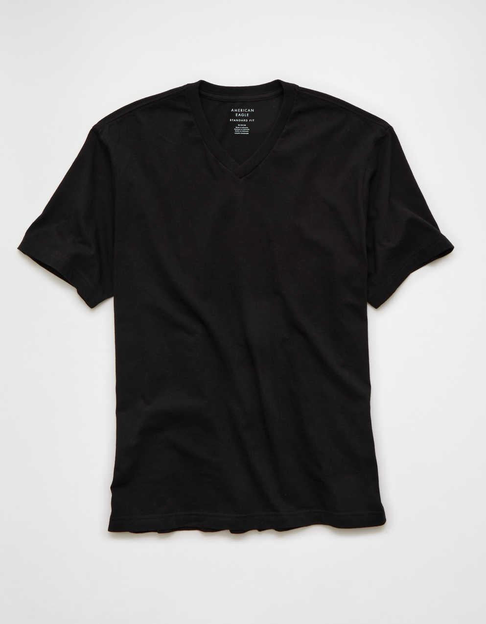 AE Standard Fit Lived-In V-Neck T-Shirt