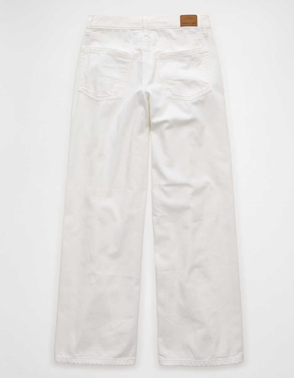 AE Low-Rise Baggy Ultra-Wide Leg Jean