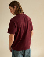 AE Standard Fit Graphic Logo T-Shirt