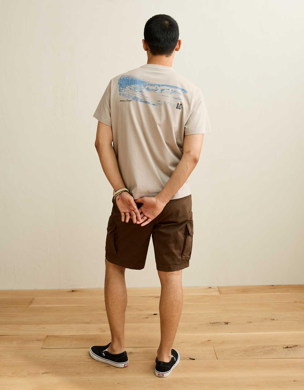 AE Standard Fit Graphic Logo T-Shirt