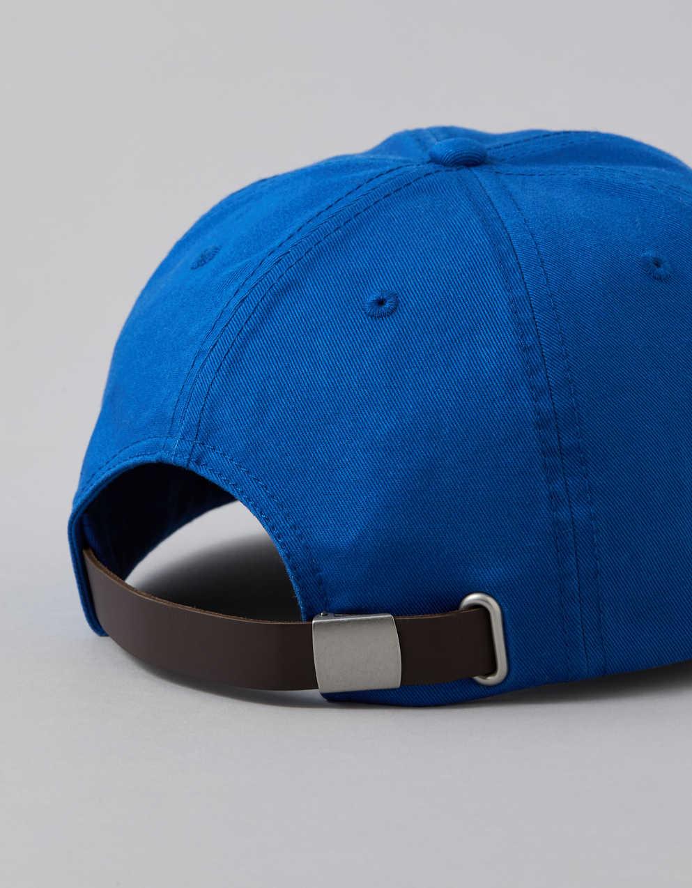 AE Icon Dad Hat