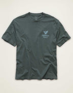 AE Standard Fit Graphic Logo T-Shirt