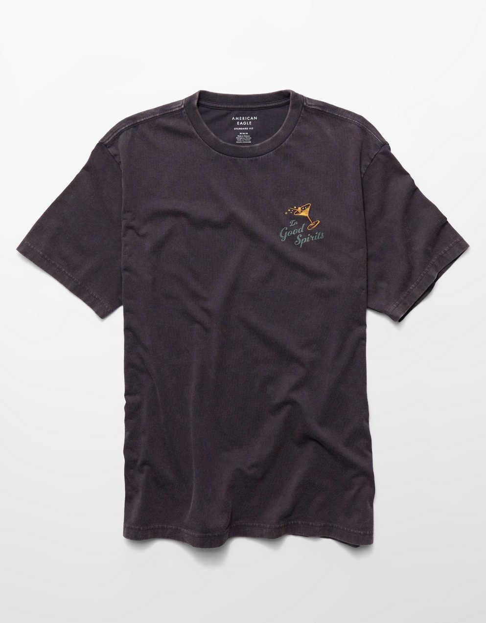 AE Standard Fit Graphic T-Shirt
