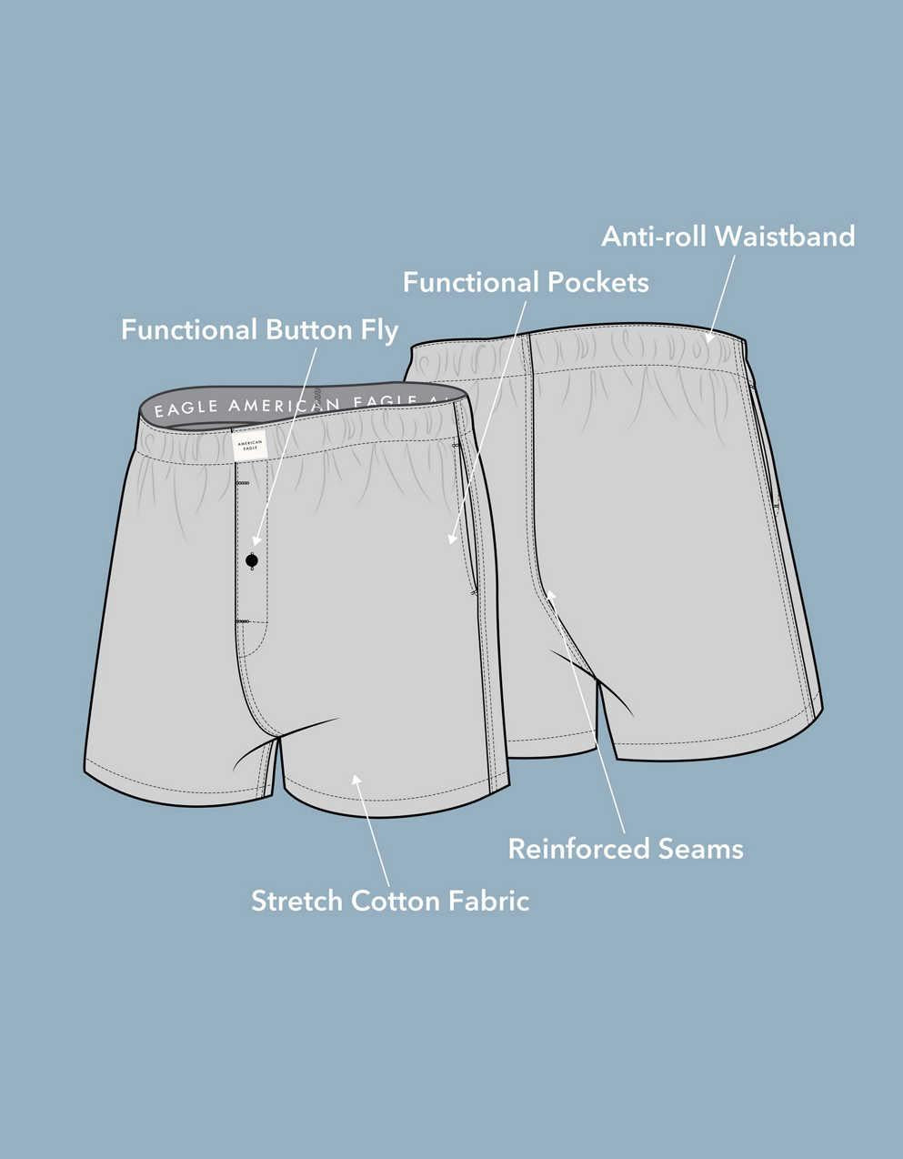 AEO Men's Paisley Stretch Boxer Short