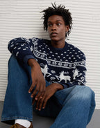AE Cozy Cabin Fairisle Sweater