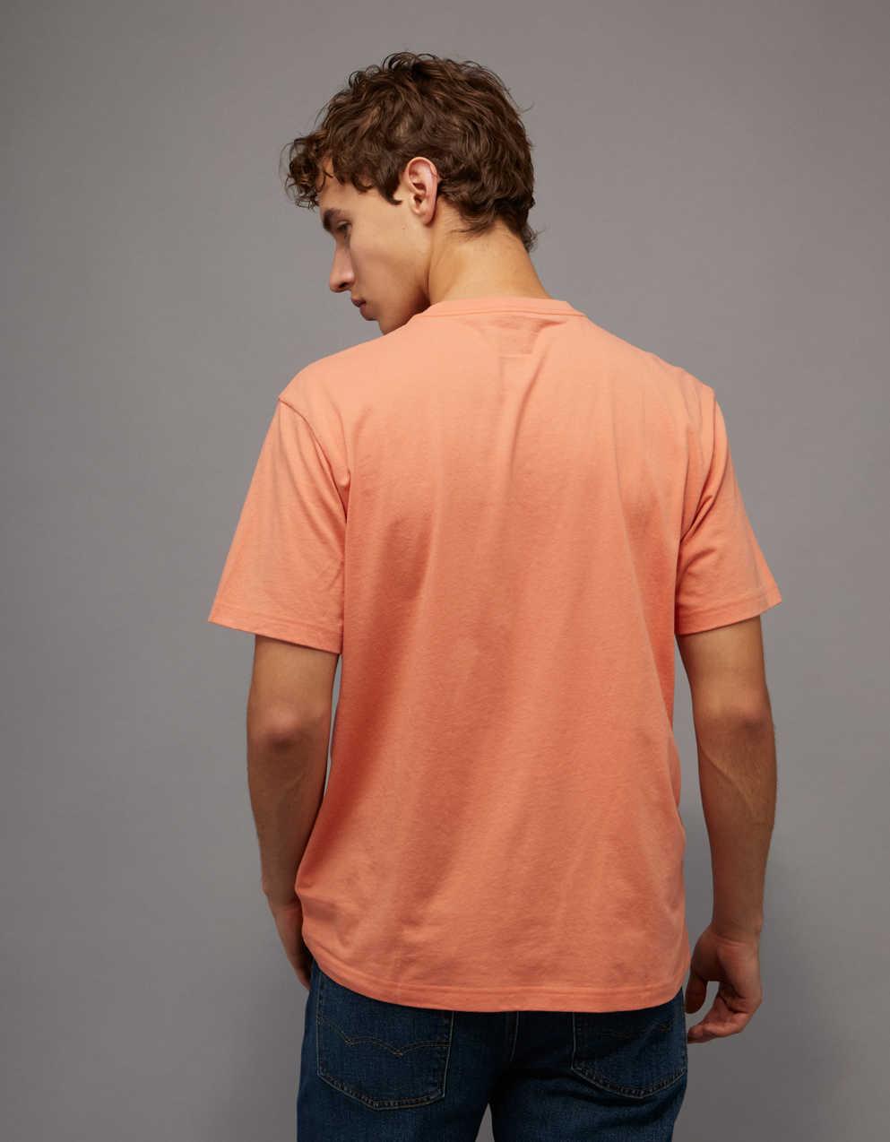 AE Standard Fit Lightweight Logo Graphic T-Shirt