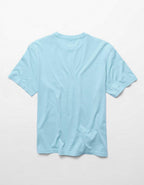 AE Standard Fit Graphic T-Shirt