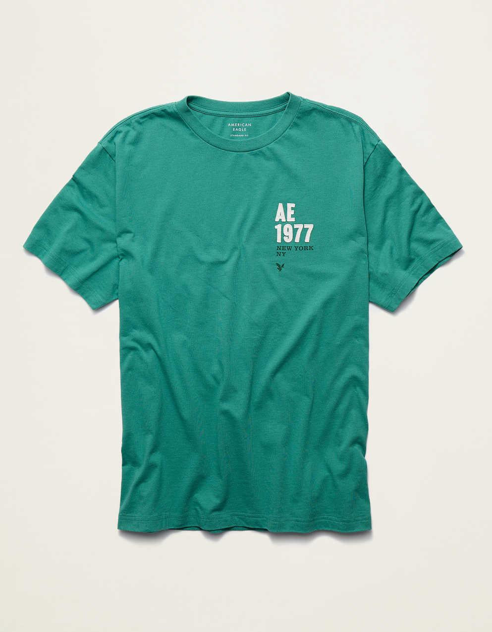 AE Standard Fit Applique Graphic T-Shirt