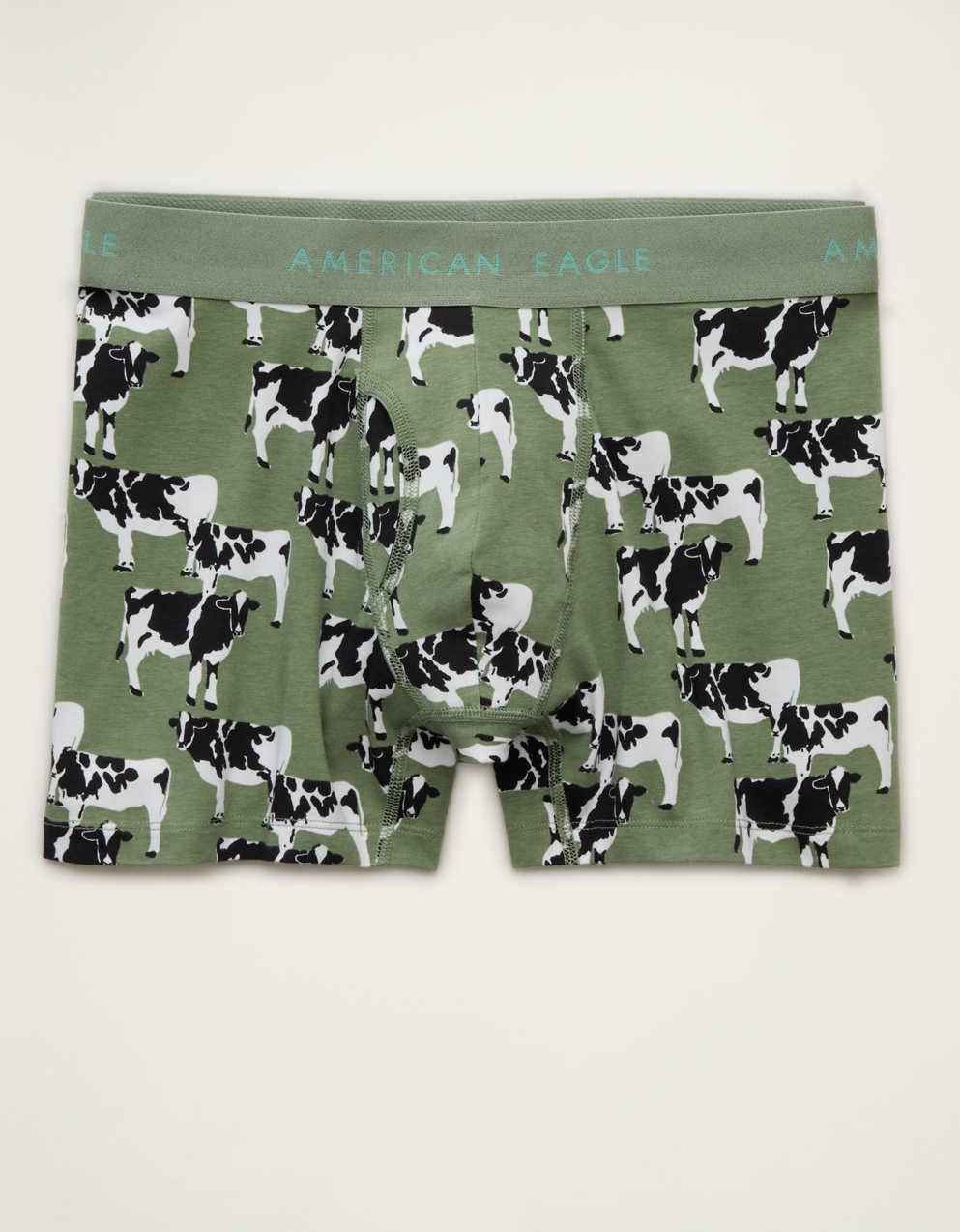 AEO Men's 4.5" Classic Cotton Boxer Brief