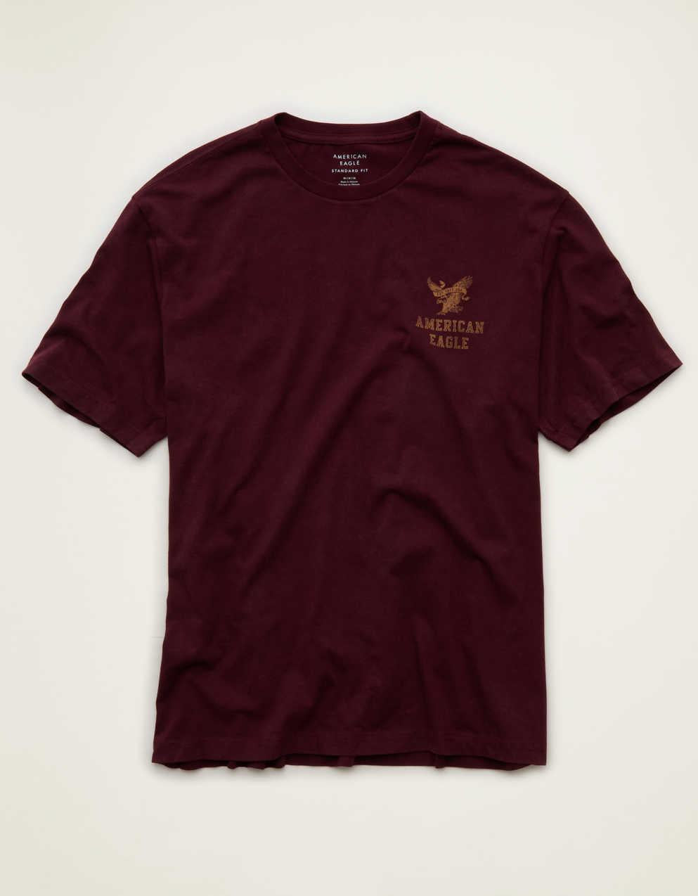 AE Standard Fit Graphic Logo T-Shirt