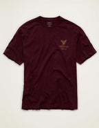 AE Standard Fit Graphic Logo T-Shirt