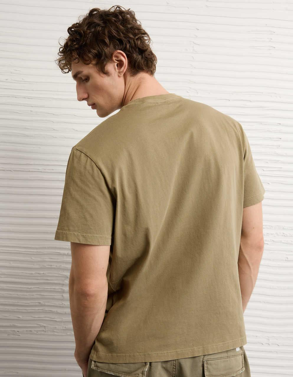 AE Standard Fit Graphic Logo T-Shirt