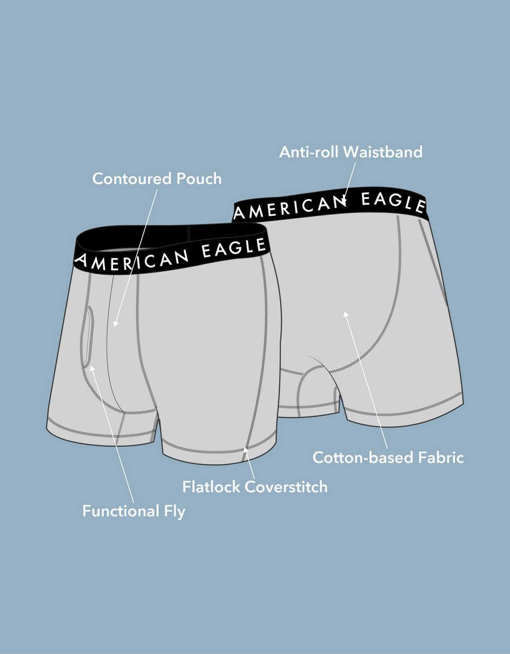 AEO Men's Bacon 4.5" Classic Boxer Brief