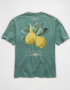 AE Boxy Fit Destination Graphic T-Shirt