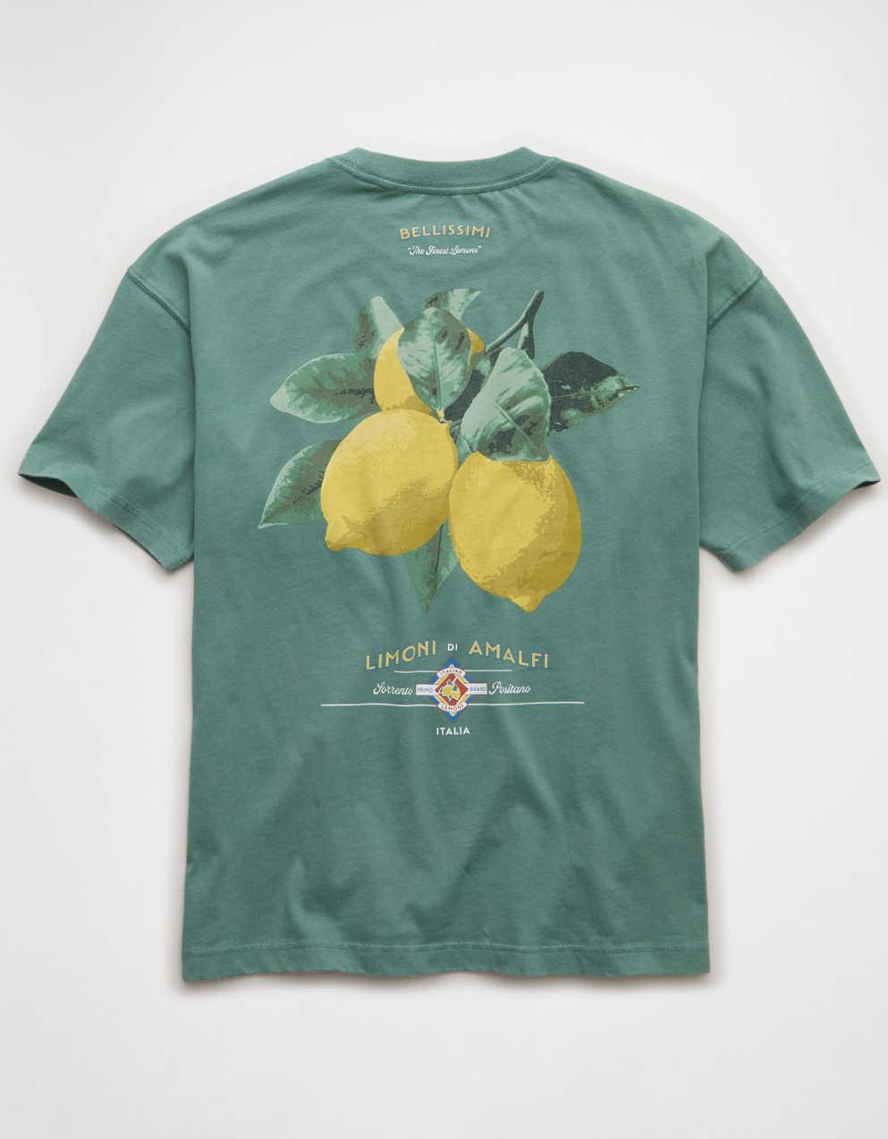 AE Boxy Destination Graphic T-Shirt
